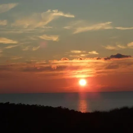 Fewo Am Strand Insel Sylt - Rosenmöwe *